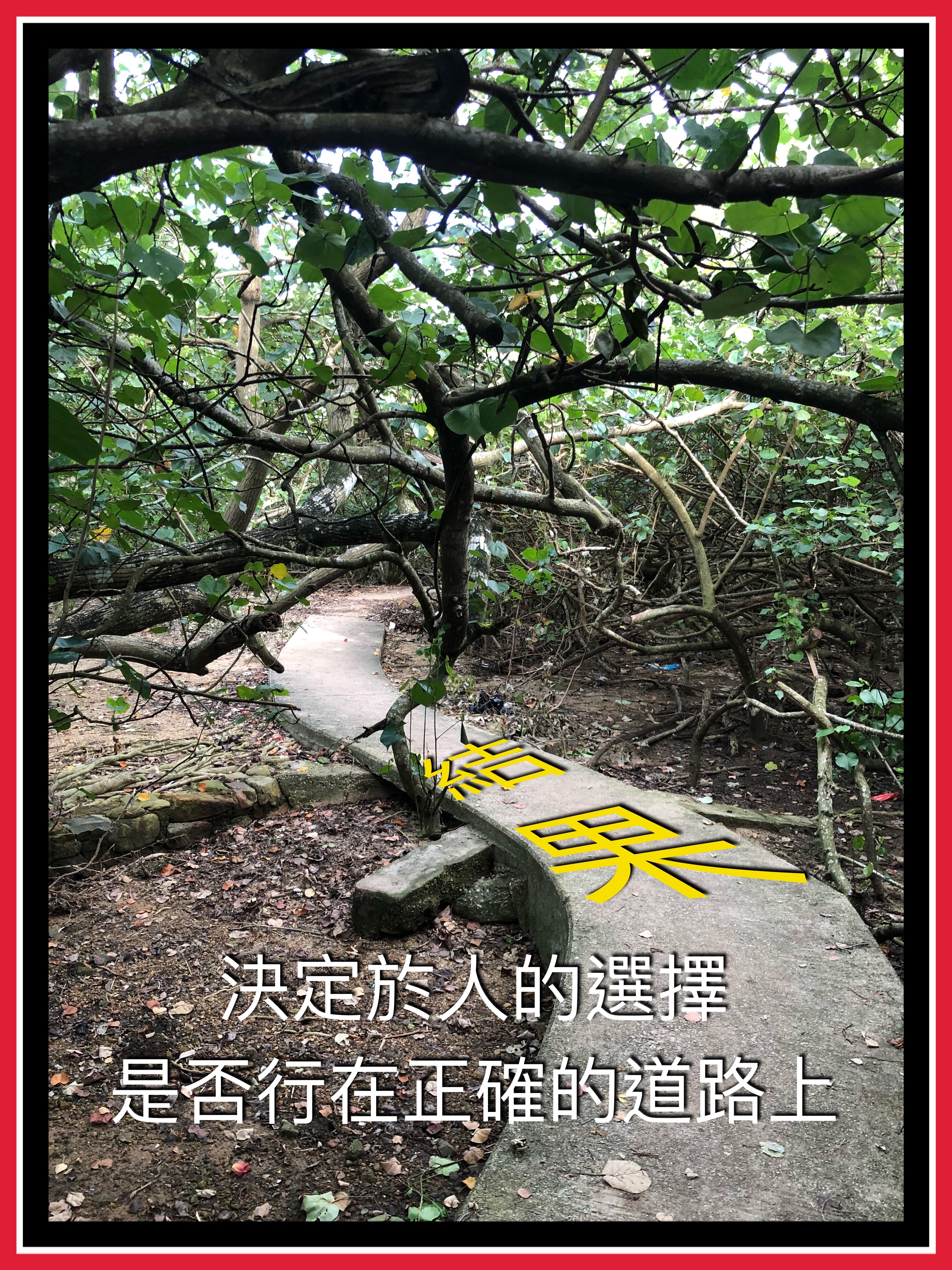 【詩情畫意系列】詩歌本意是唱詠；經文實體是信仰教導