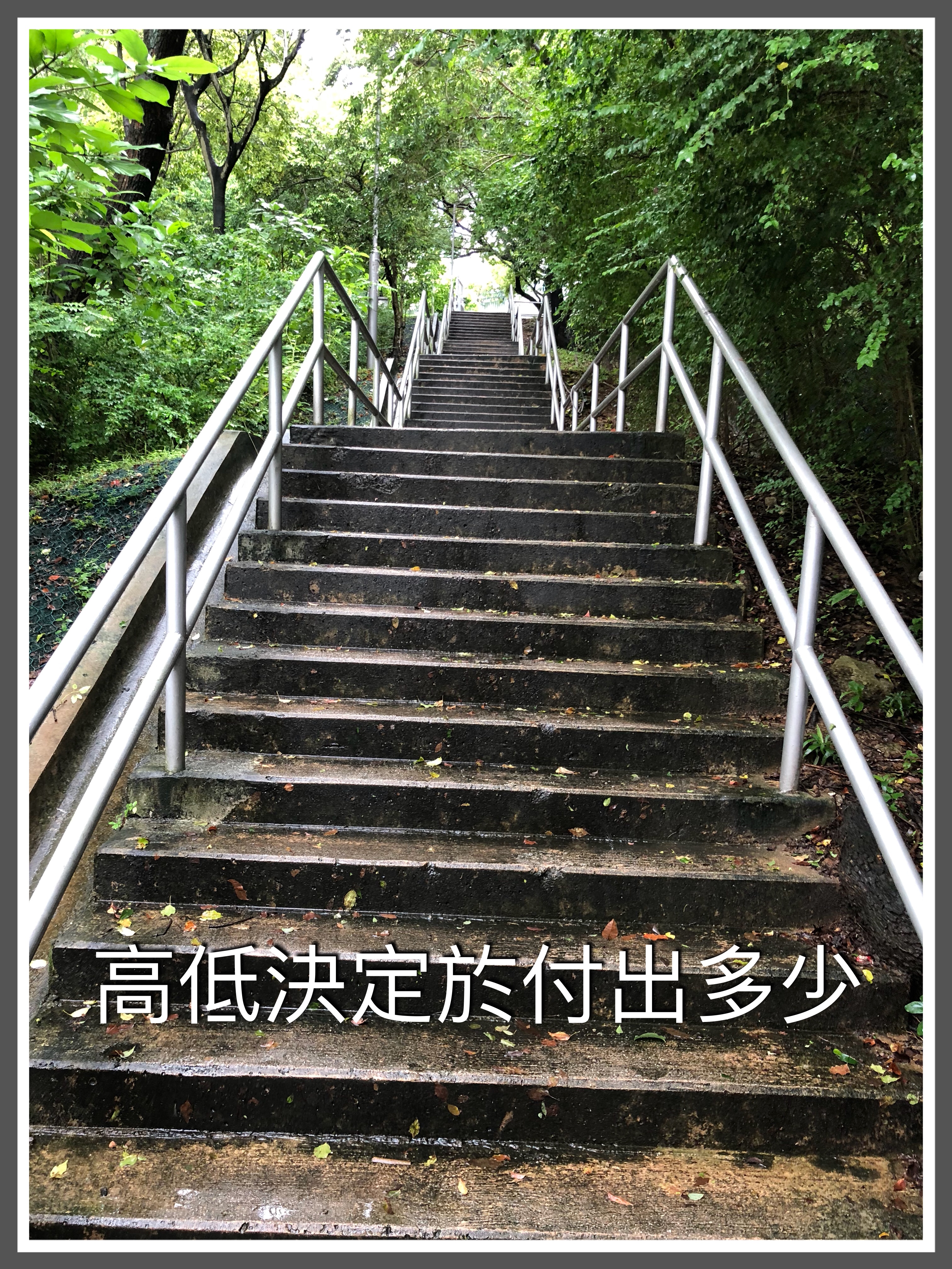 【釋經原理系列】原文釋經101之一：字詞意義