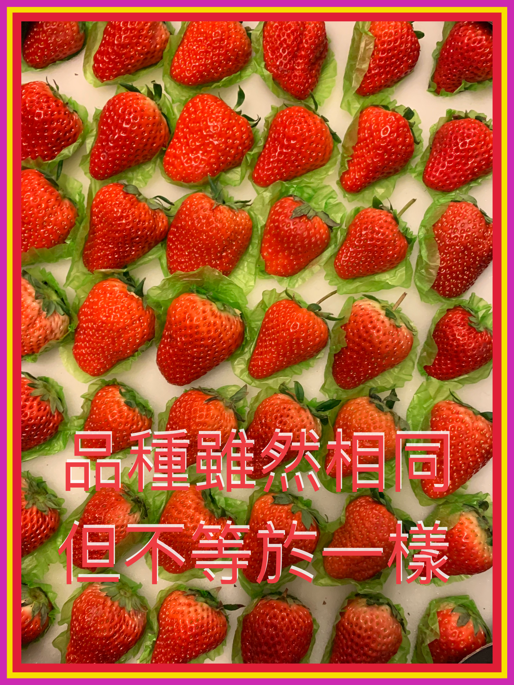 【釋經原理系列】原文釋經101之四：引用資料