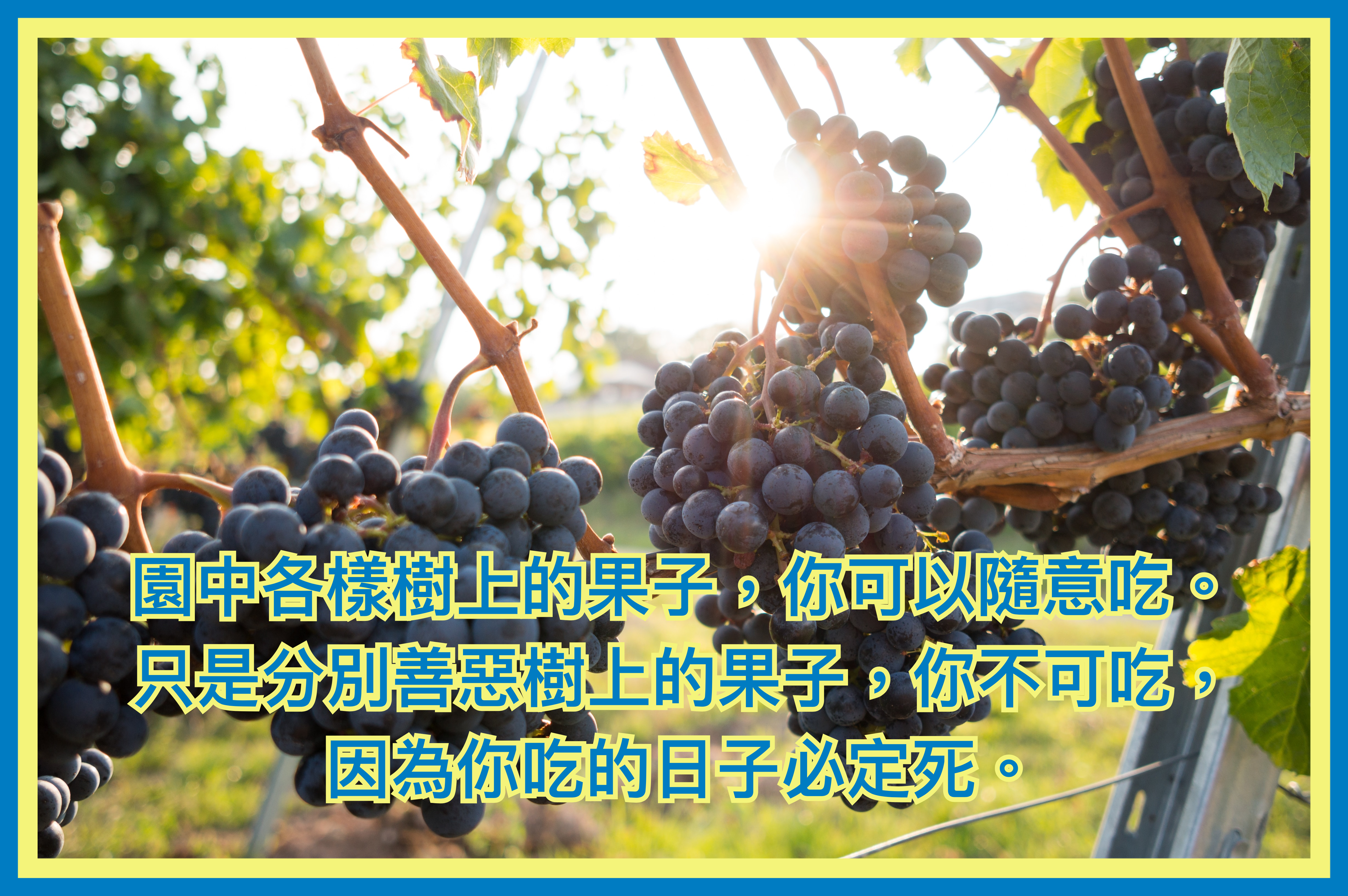 【創世記釋經】二章4節至三章24節（2）