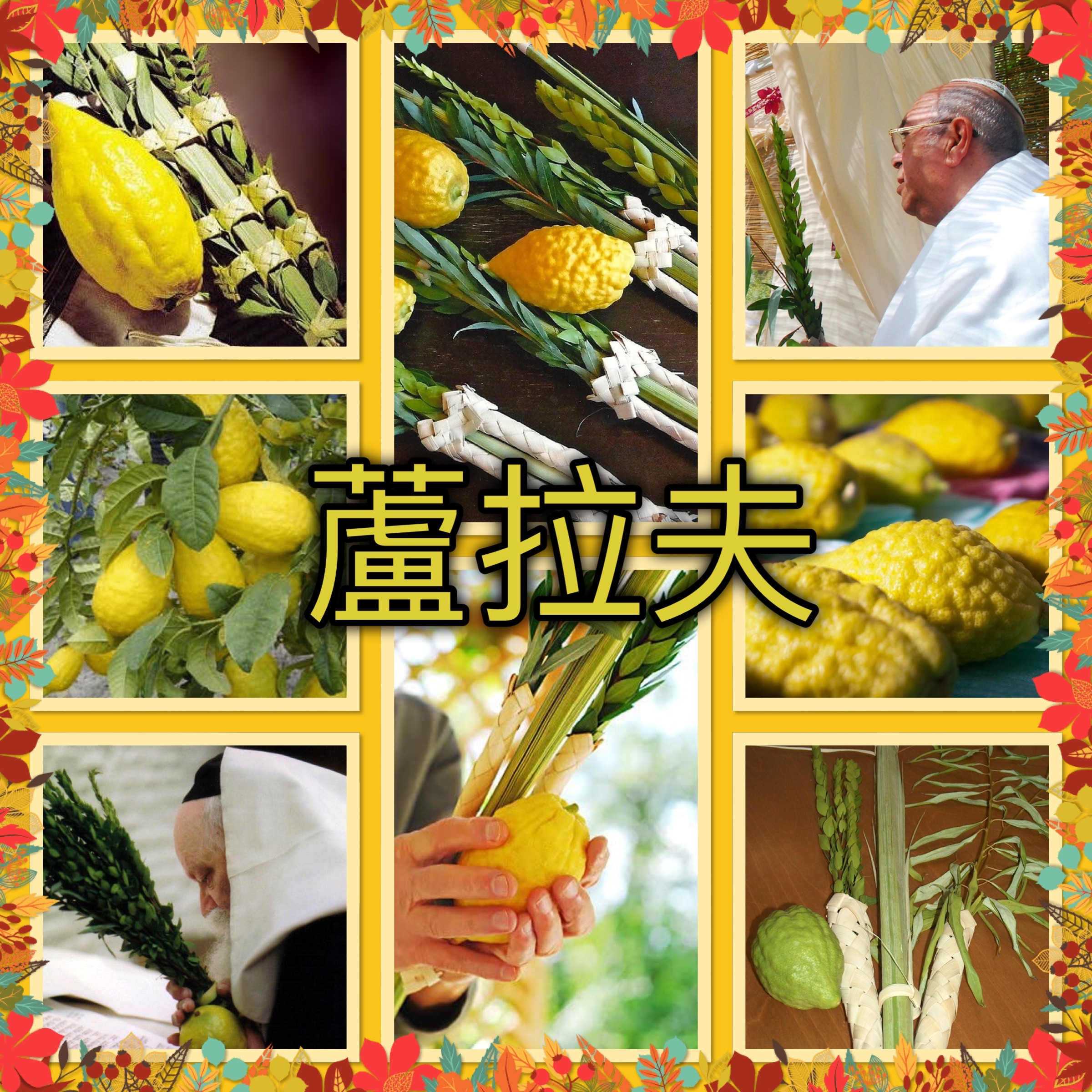 【猶太傳統拾趣】蘆拉夫