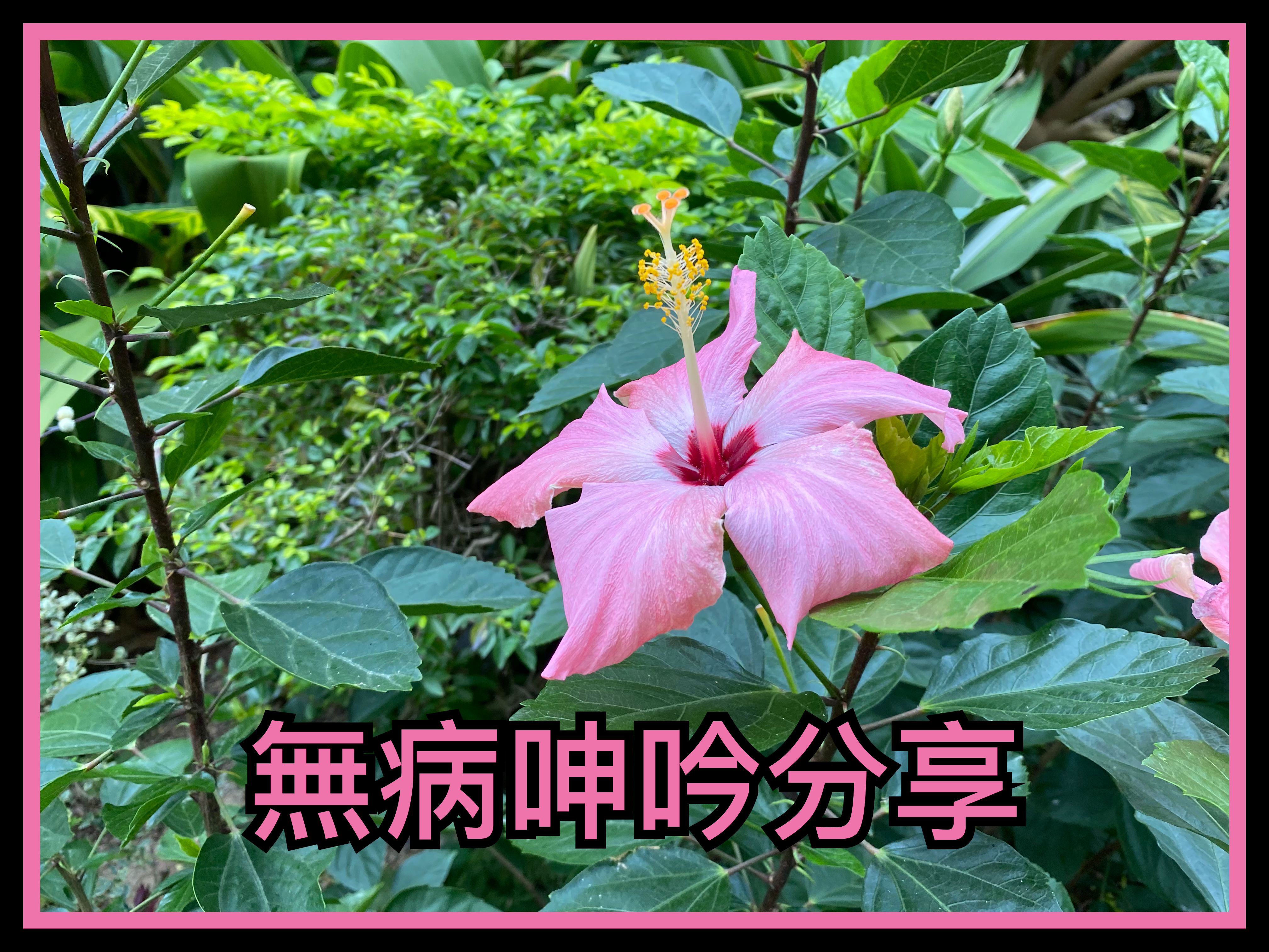 【無病呻吟分享】關館之後再出發