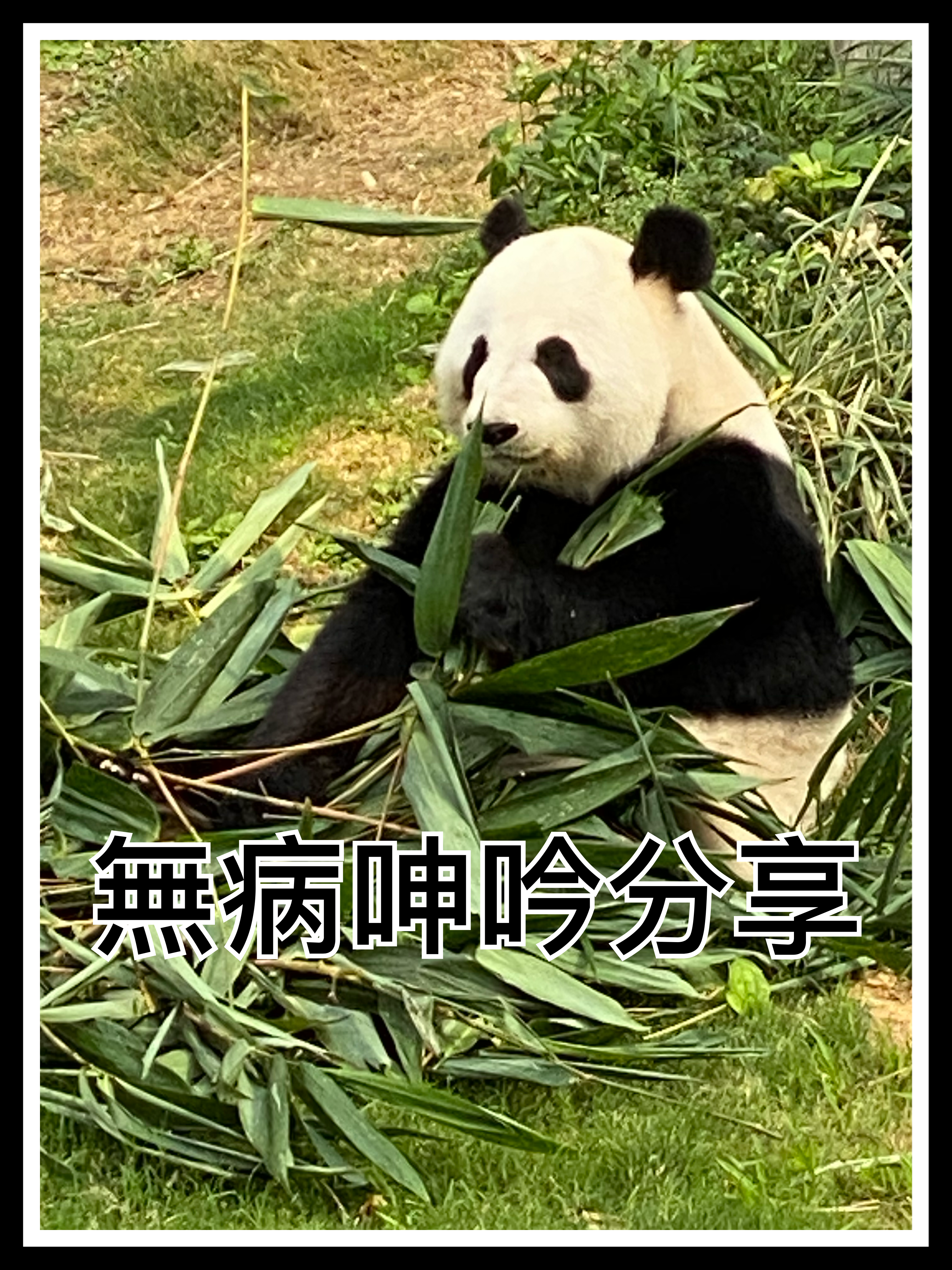 【無病呻吟分享】暫時關館