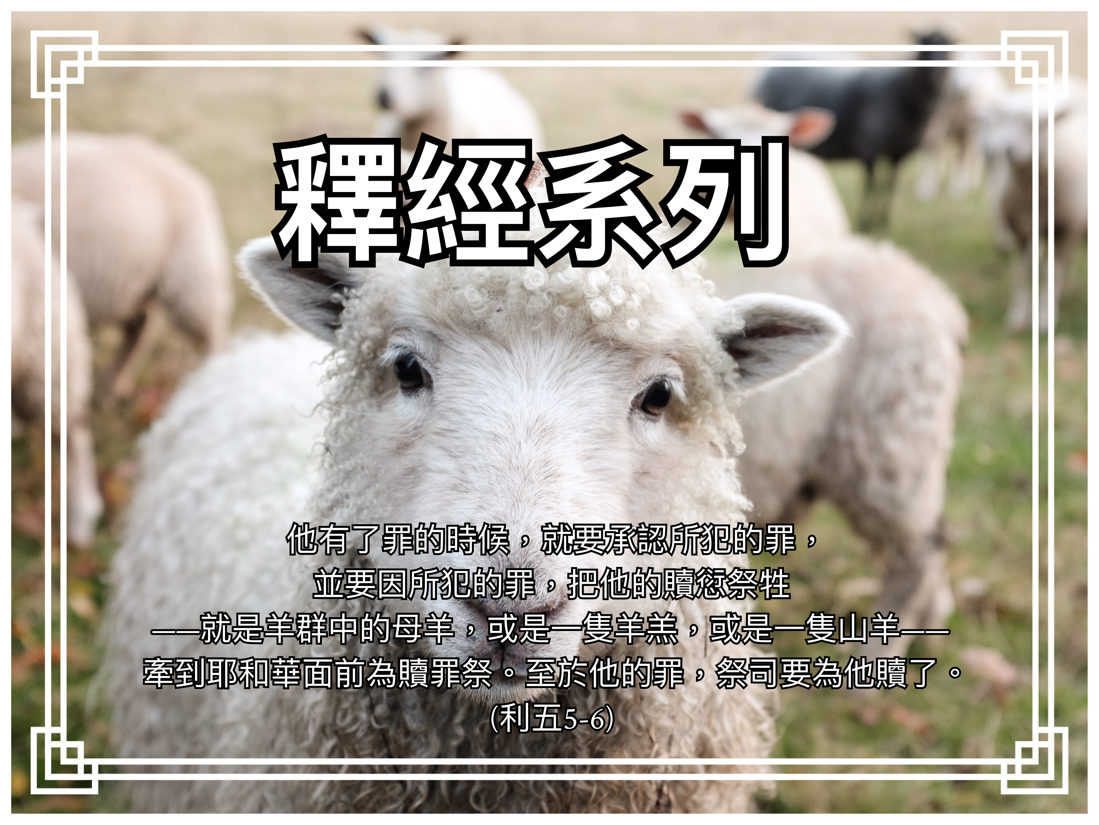 【釋經系列】利五5-6