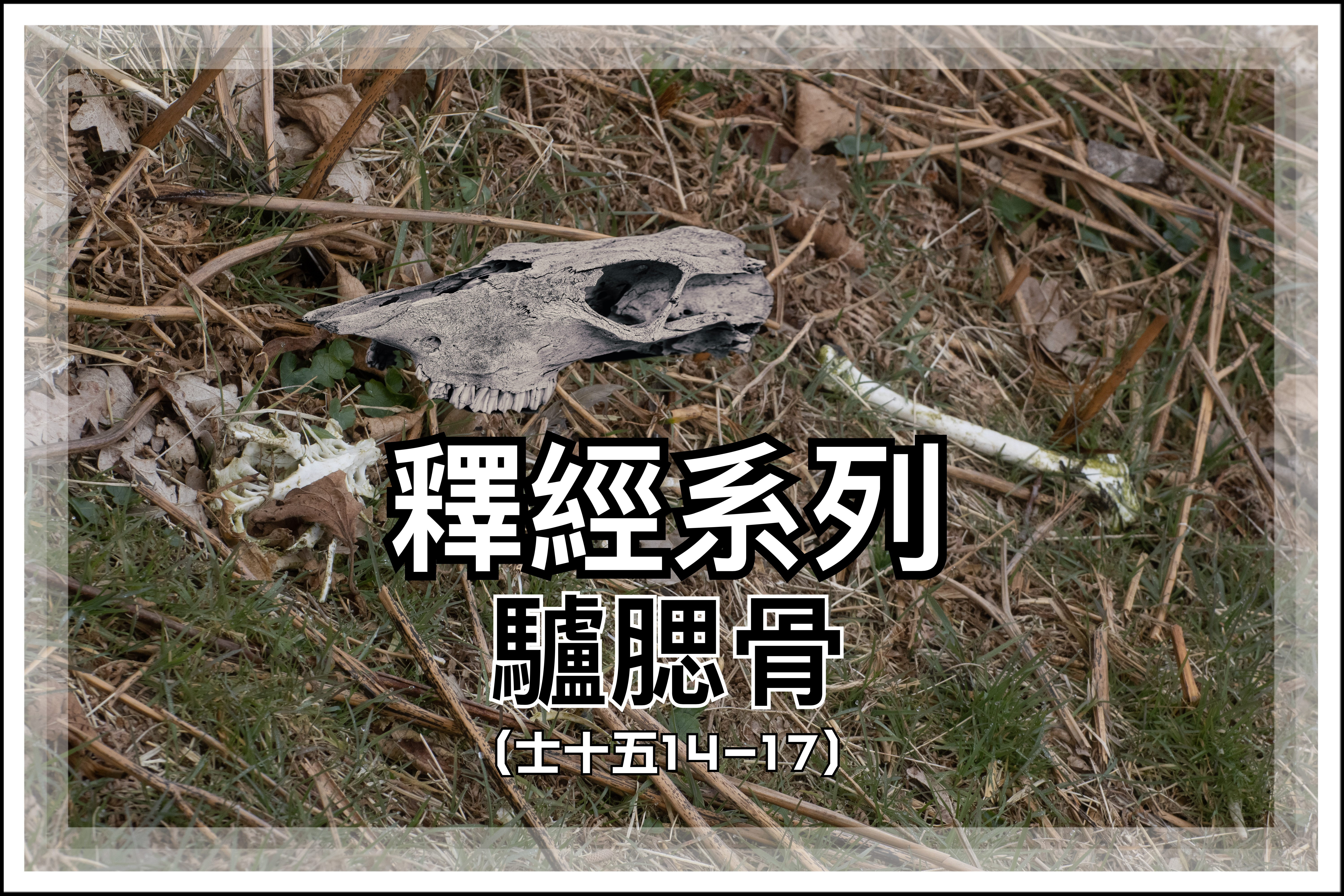 【釋經系列】驢腮骨（士十五14-17）