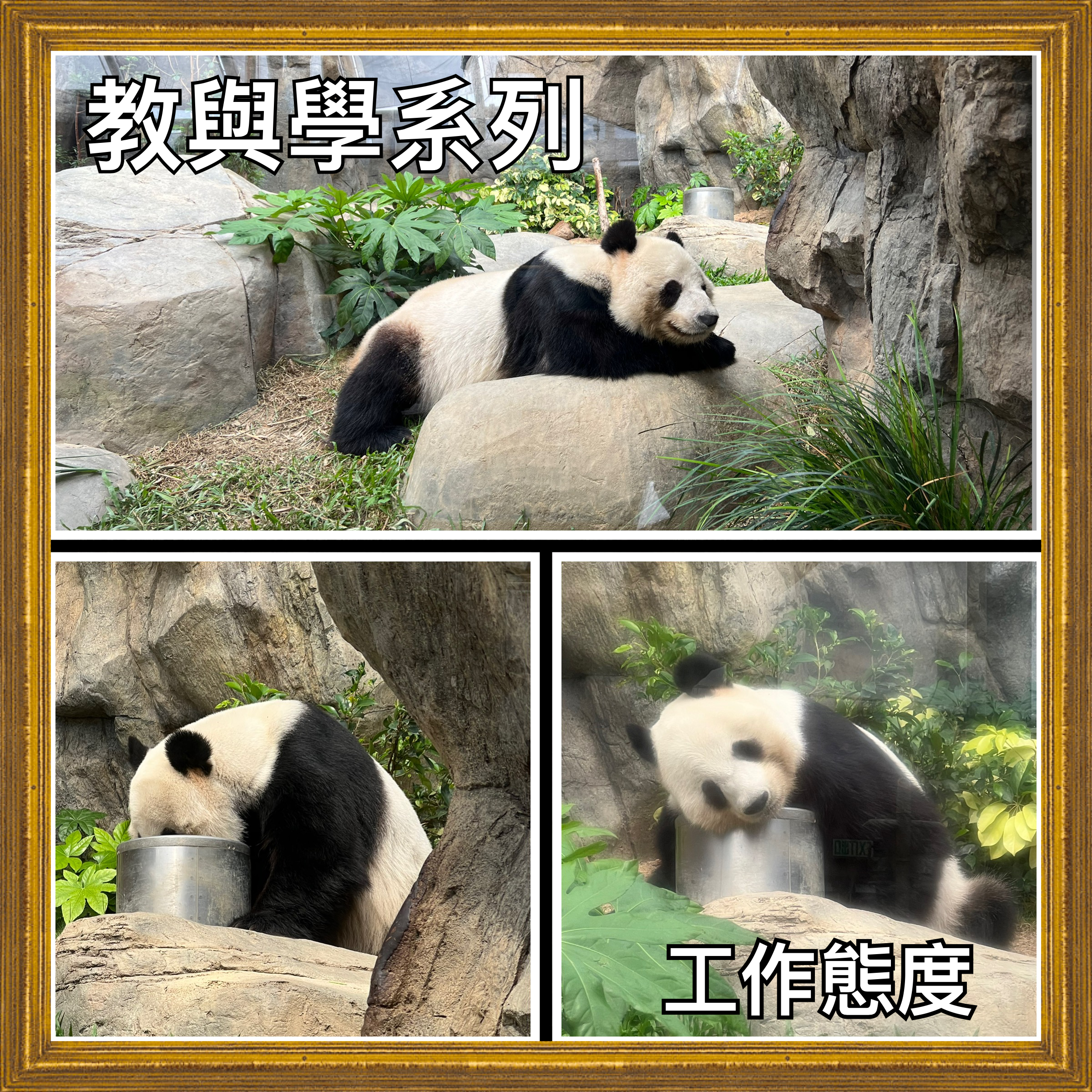 【教與學系列】工作態度