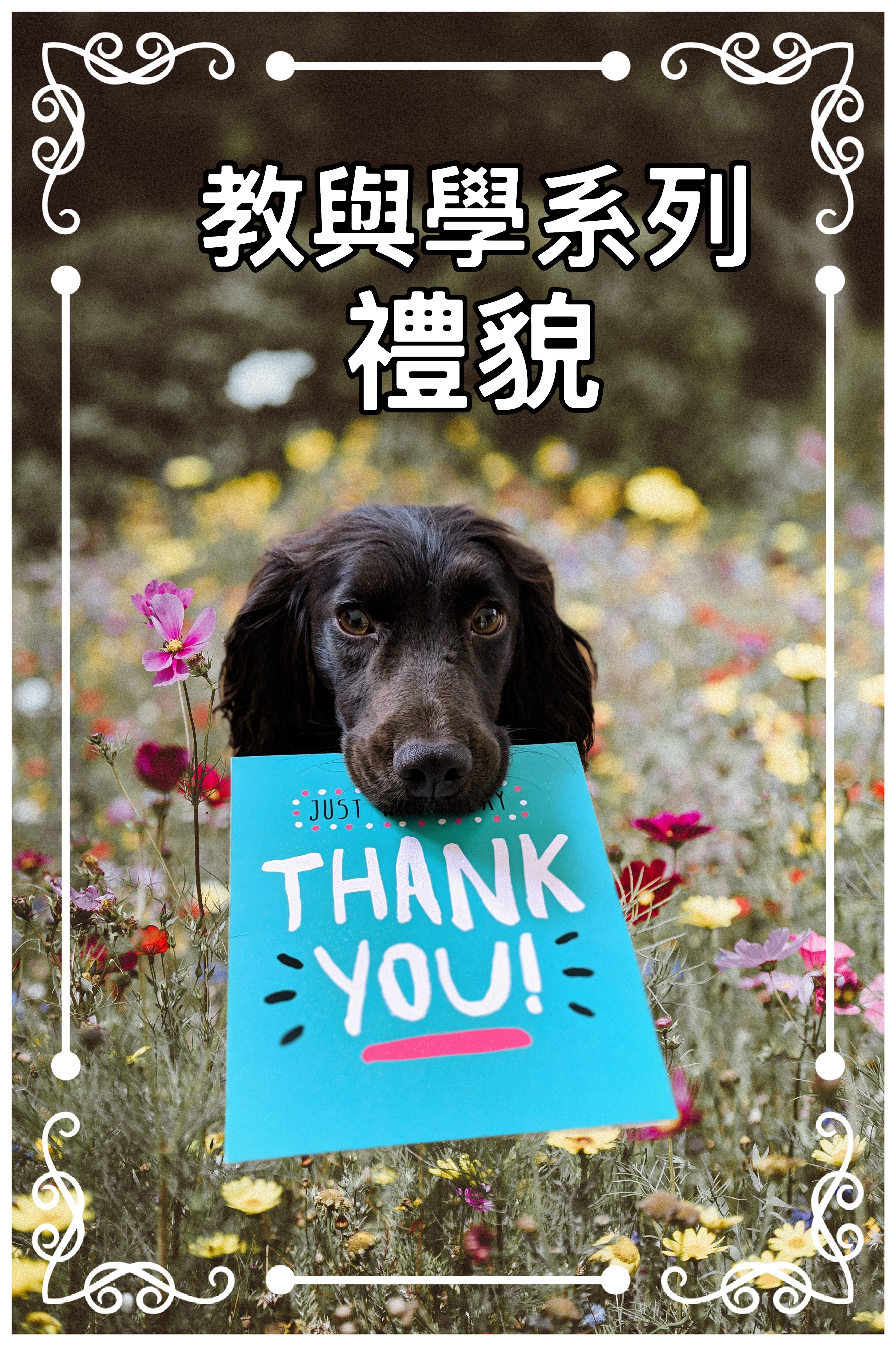 【教與學系列】禮貌