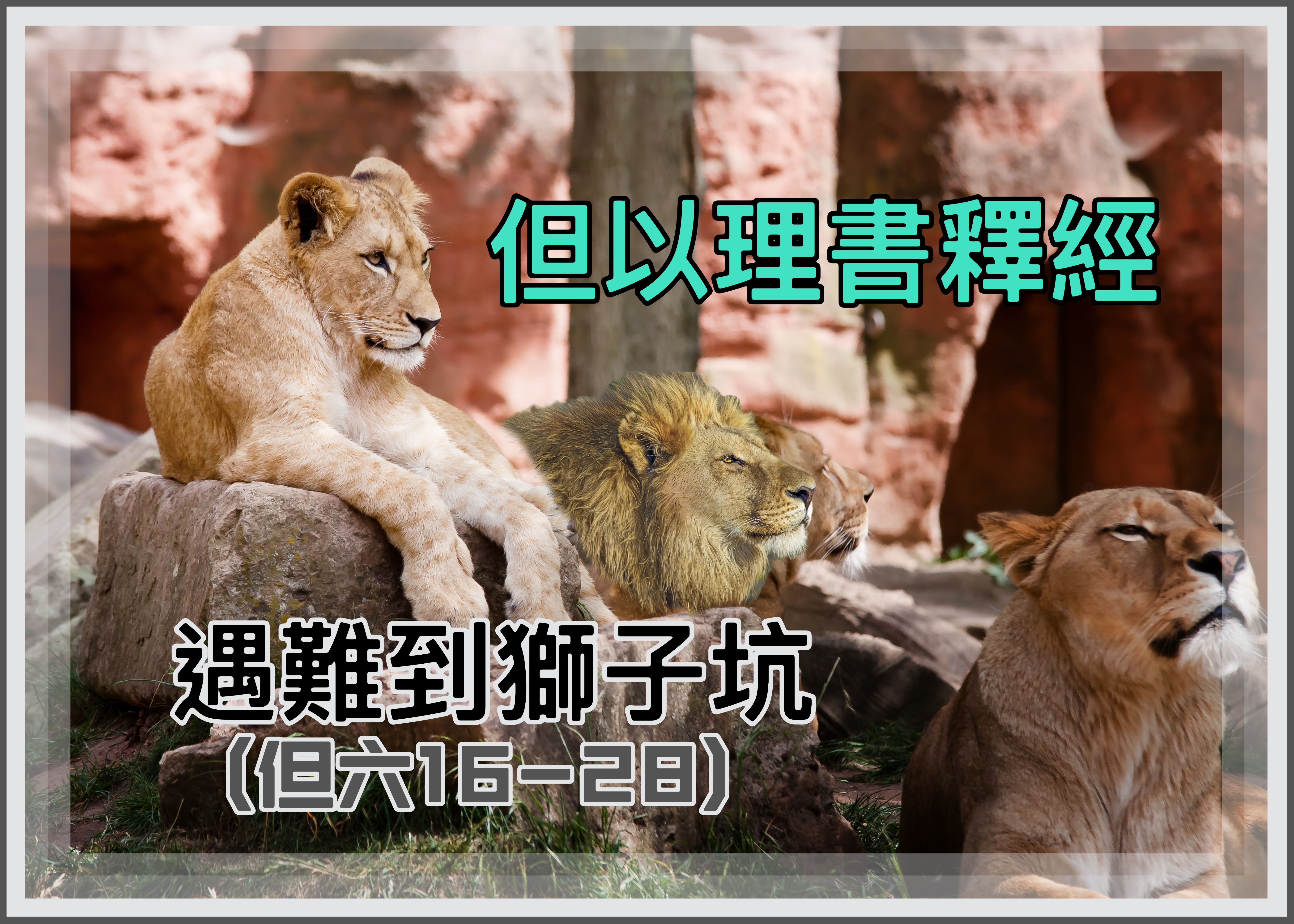 【但以理書釋經】遇難到獅子坑（但六16-28〔MT17-29〕）