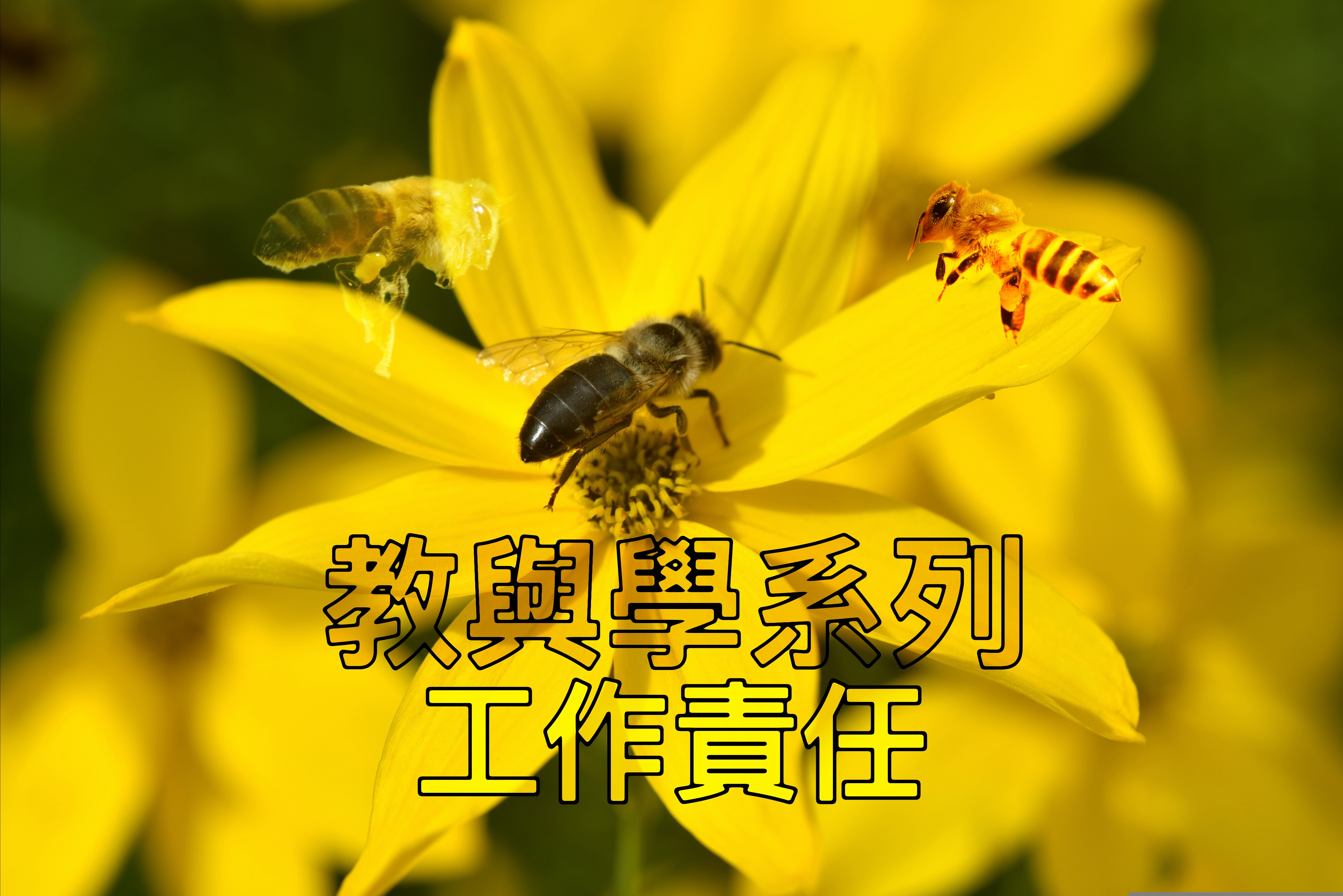 【教與學系列】工作責任
